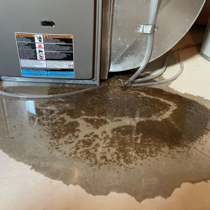 Appliance Leak Cleanup in Reminderville, OH